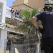 Strandlokal auf Mallorca hatte keine Lizenz für eingestürzte Terasse