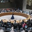 Israel-Krieg im Liveticker: Sicherheitsrat berät über UN-Resolution zu Rafah