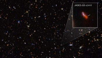 James-Webb-Teleskop: Nasa entdeckt am weitesten entfernte Galaxie im bekannten Universum