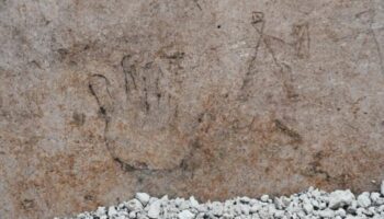 Des dessins d’enfants découverts sur les murs de Pompéi