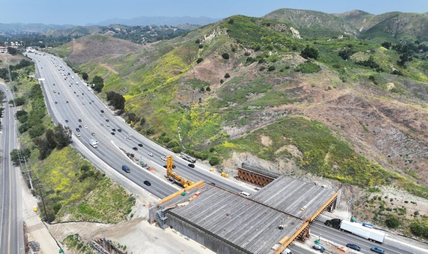Amid roadkill epidemic, California builds world’s largest wildlife bridge