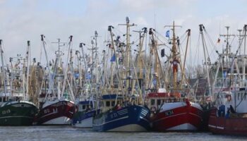 Büsum: Fischkutter zieht Kleinflugzeug nach Notlandung aus der Nordsee
