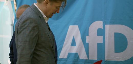 Die AfD und ihre Skandale – Eine Partei im Sinkflug – SPIEGEL TV