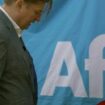 Die AfD und ihre Skandale – Eine Partei im Sinkflug – SPIEGEL TV
