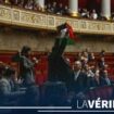 Drapeau palestinien brandi à l'Assemblée : que dit le règlement intérieur de l’hémicycle ?