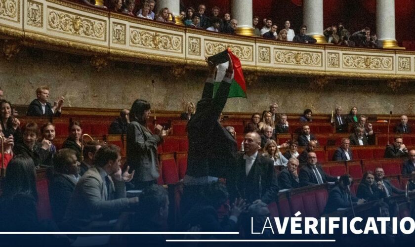 Drapeau palestinien brandi à l'Assemblée : que dit le règlement intérieur de l’hémicycle ?