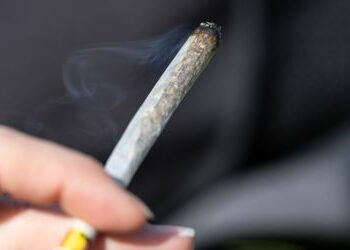Drogenpolitik: US-Regierung plant Lockerung der Cannabisgesetze