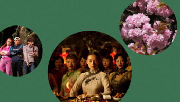 Du cinéma de Hongkong, une baguette géante, des arbres remarquables… 6 idées de sorties en Île-de-France