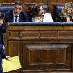 El "síndrome de final de legislatura" se abre paso en el PSOE