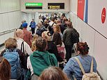 Flights into Britain face MORE delays after £372million passport IT system collapsed nationwide in 'major, major incident': Exhausted travellers queue into the night as backlog is cleared after five-hour mystery meltdown