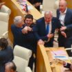 Georgiens Parlament billigt Gesetz zur Kontrolle der Zivilgesellschaft