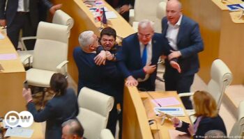 Georgiens Parlament billigt Gesetz zur Kontrolle der Zivilgesellschaft