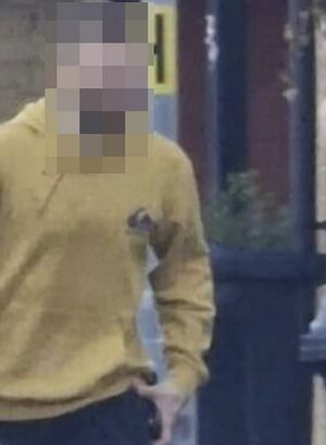 Hainault sword attack: Man charged with murder of boy, 14, during east London rampage