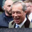 'It is not the right time': Nigel Farage will not stand in general election