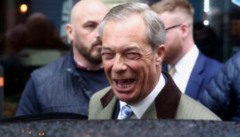 'It is not the right time': Nigel Farage will not stand in general election