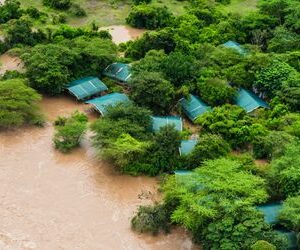 Kenia: Safari-Touristen nach Überschwemmungen in Camps eingeschlossen