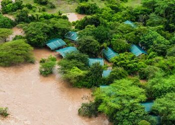 Kenia: Safari-Touristen nach Überschwemmungen in Camps eingeschlossen