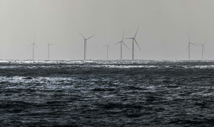 La France désigne le constructeur du premier parc éolien flottant à échelle commerciale en Bretagne
