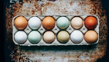 Les œufs se conservent bien plus longtemps que vous ne le pensez