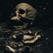 L'étude d'un squelette vieux de 2.000 ans éclaire l'histoire des sacrifices humains