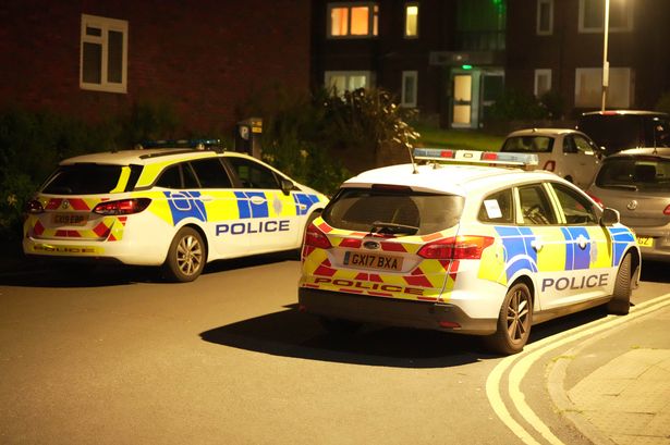 Man, 70, found dead in Brighton flat as police arrest woman, 70, for 'murder'