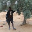 Migranten in Tunesien: "Abschiebung" in die Wüste?