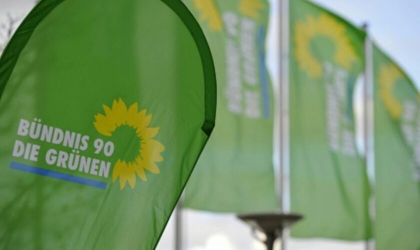 Flaggen mit dem Logo der Grünen