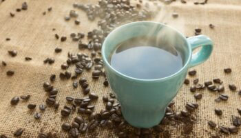Neurologische Krankheit: Neue Kaffee-Studie: Koffein beugt Parkinson vor – und hat weitere gesundheitliche Vorteile