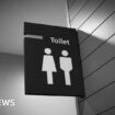 New public buildings to be required to have separate male and female toilets