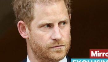 Prince Harry 'won't give up and is still determined to win back King Charles' favour after UK trip'