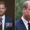 Prince William has two 'brothers' he can trust amid Prince Harry feud, says expert