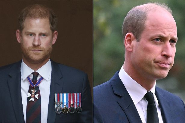 Prince William has two 'brothers' he can trust amid Prince Harry feud, says expert