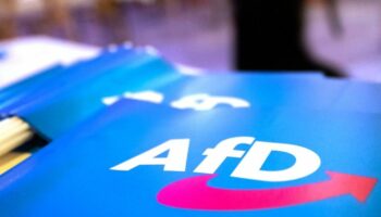 Fähnchen mit dem Logo der AfD liegen auf einem Tisch. Foto: Daniel Karmann/dpa