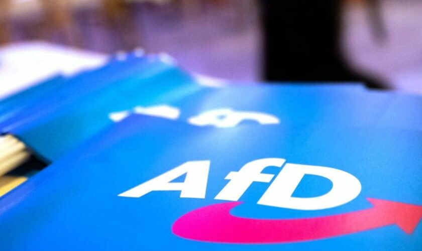 Fähnchen mit dem Logo der AfD liegen auf einem Tisch. Foto: Daniel Karmann/dpa