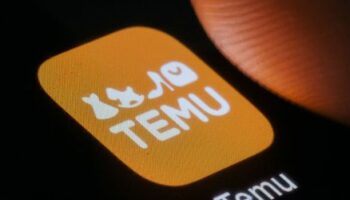 Temu: Europäische Verbraucherschützer werfen der Shopping-Plattform Kundenmanipulation vor