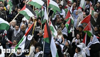 Protesters wave Palestinian flags during the 'Stop Israel' demonstration in Malmo