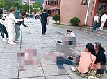 Two dead and ten injured as woman armed with a fruit knife launches stabbing rampage at Chinese primary school