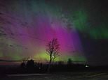 US enjoys dazzling Northern Lights show stretching from Maine to Alabama after 'extreme' solar storm that could knock out power lines and communications