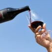 Un site internet promet du vin au premier visiteur qui lira ses conditions générales