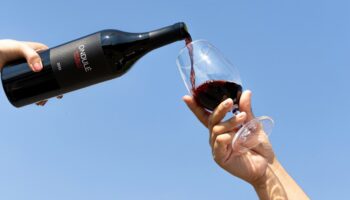 Un site internet promet du vin au premier visiteur qui lira ses conditions générales