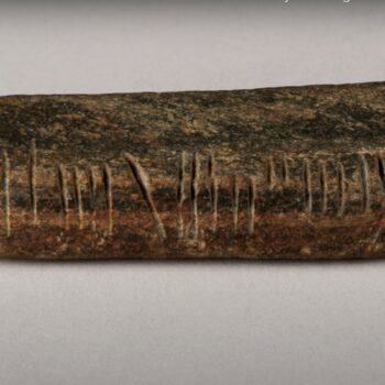 Une mystérieuse pierre gravée dans une langue vieille de 1.600 ans découverte dans un jardin