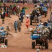 World ignoring risk of Sudan genocide - UN expert