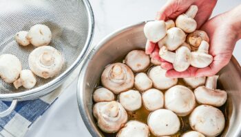 Yes, you need to wash fresh mushrooms. Here’s how.