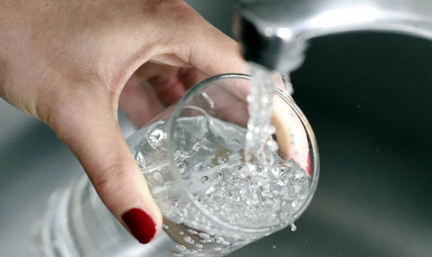 La présence généralisée de résidus d'un fongicide dans l'eau du robinet ne présente "pas de risque sanitaire" mais des "mesures plus régulières" du produit vont être mises en place, selon le gouvernement