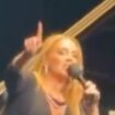 ‘Are you stupid?’ Adele praised for angrily shutting down anti-Pride fan at concert
