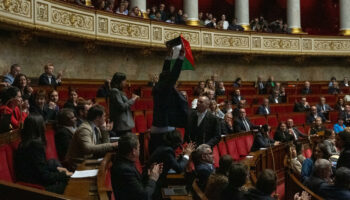 Assemblée : des députés de gauche ont trouvé comment contourner l’interdiction du drapeau palestinien