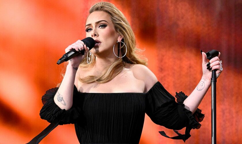 Adele goes off on fan who shouted 'Pride sucks' during Vegas performance: 'Are you f--ing stupid?'