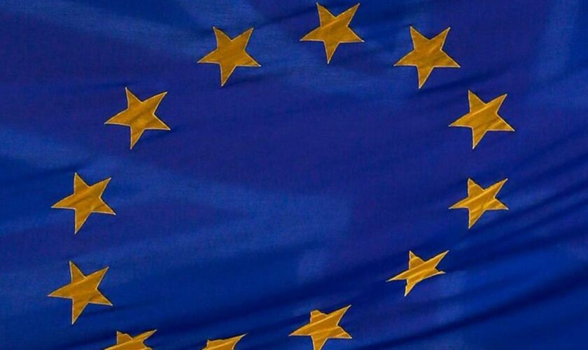 Elections européennes 2024 : pourquoi les Etats membres ne votent-ils pas le même jour ?