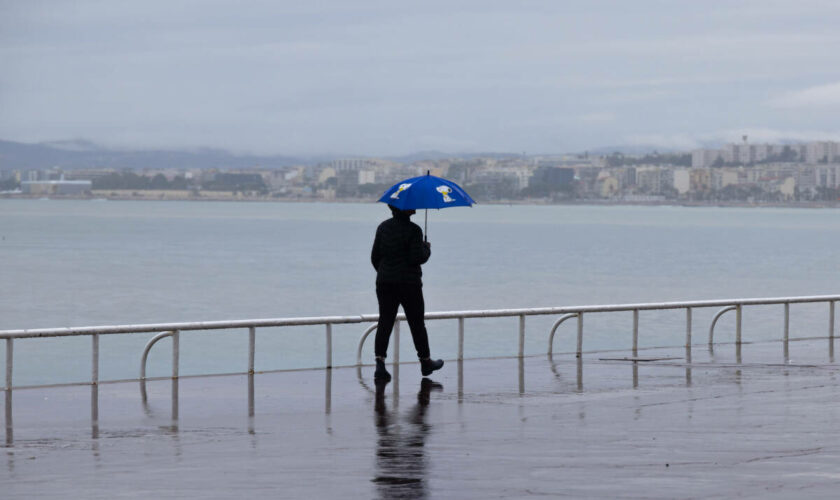 Le printemps 2024 a été « le plus pluvieux depuis 2008 », révèle Météo-France