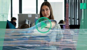« Sous la Seine » sur Netflix : un requin à Paris, c’est vraiment possible ? Un expert nous répond